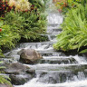 Meet your Posher, Sabeera